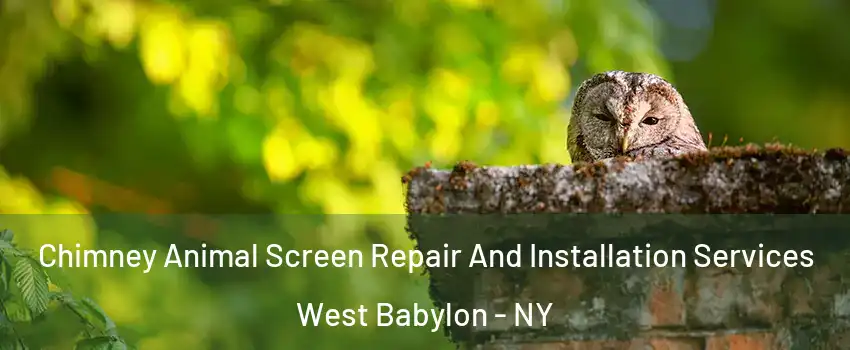  Chimney Animal Screen Repair And Installation Services West Babylon - NY